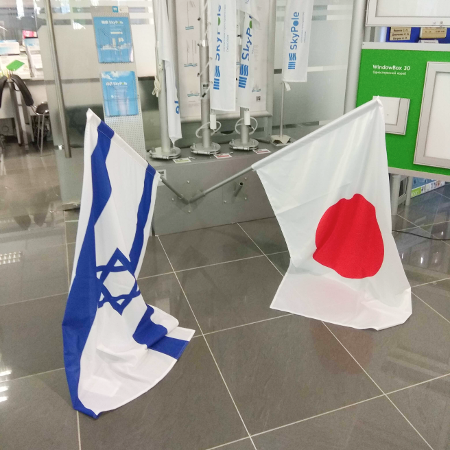 Фото образца двойного флагштока с флагами