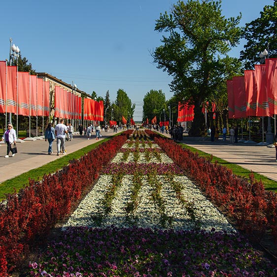 Уличные флагштоки на 9 мая в Волгограде